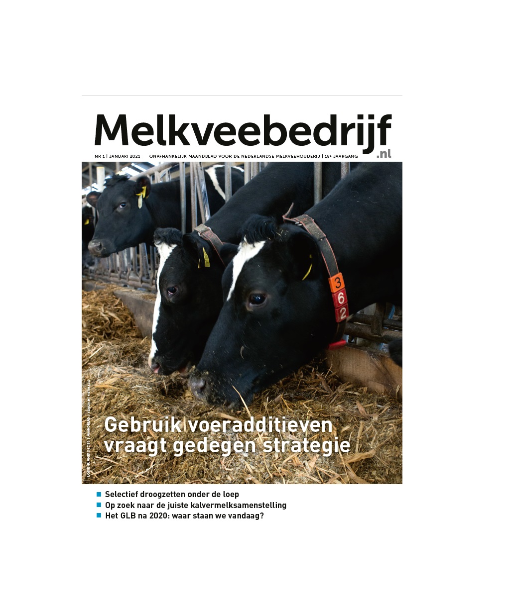 melkveebedrijf-magazine-cover